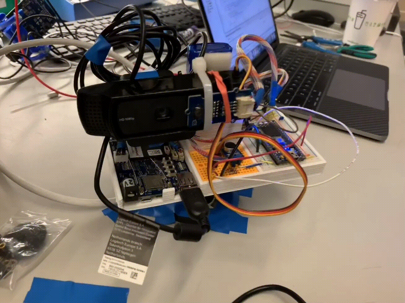 nibl cam gif